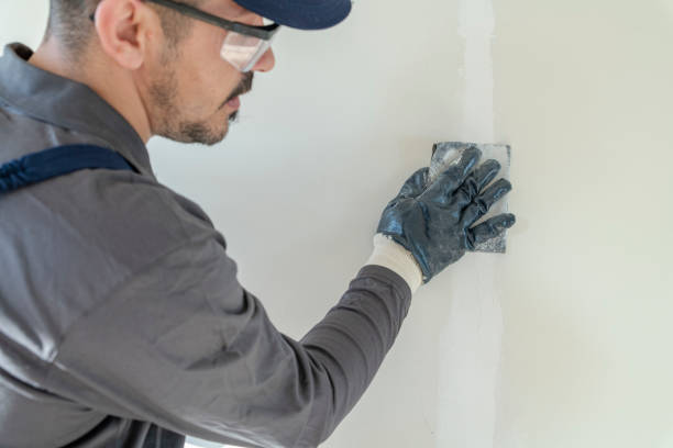 Best Black Mold Removal  in Catalina, AZ