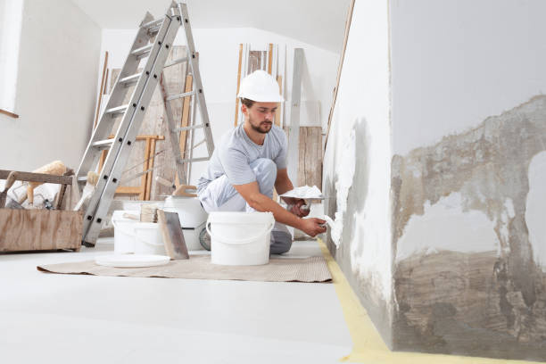Best Basement Mold Removal  in Catalina, AZ
