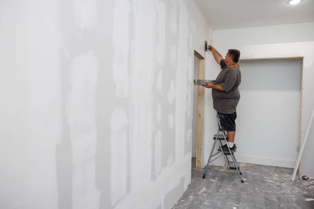 Best Post-Construction Mold Inspection  in Catalina, AZ