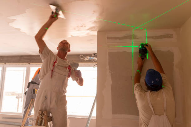 Best Real Estate Mold Inspection  in Catalina, AZ