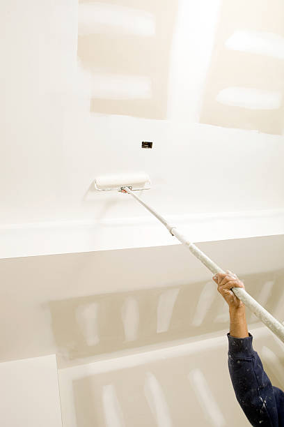 Best Industrial Mold Remediation  in Catalina, AZ