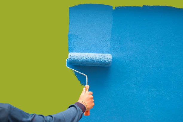 Best Environmental Consulting for Mold Prevention  in Catalina, AZ