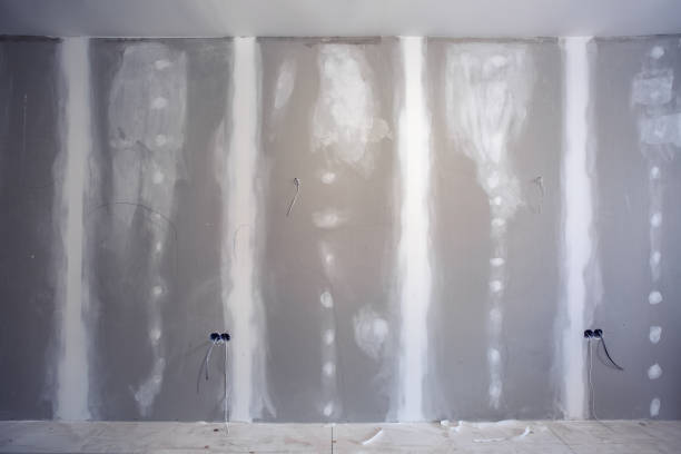 Best Attic Mold Removal  in Catalina, AZ